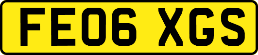 FE06XGS