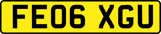 FE06XGU