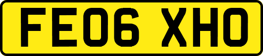 FE06XHO