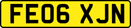 FE06XJN
