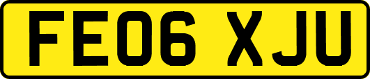 FE06XJU
