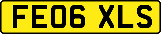 FE06XLS