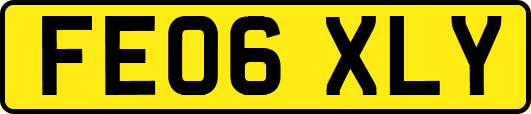 FE06XLY