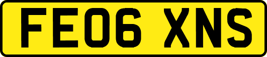 FE06XNS