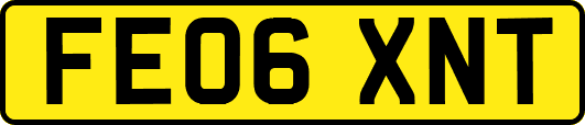 FE06XNT