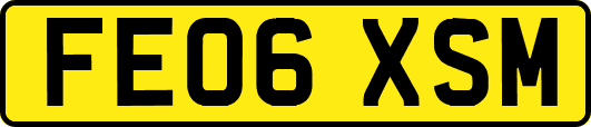 FE06XSM