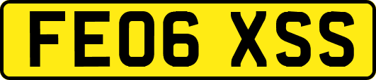 FE06XSS