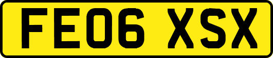FE06XSX