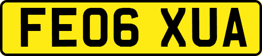 FE06XUA