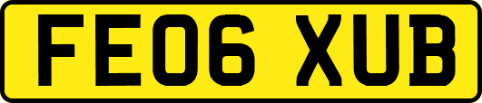 FE06XUB