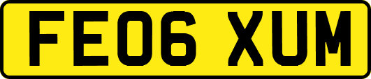 FE06XUM