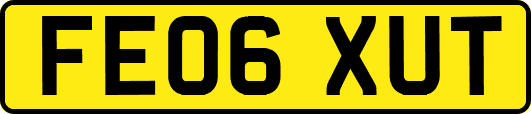 FE06XUT