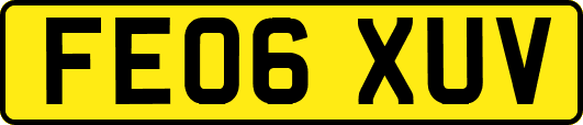 FE06XUV