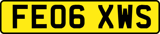 FE06XWS