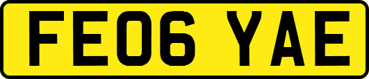 FE06YAE