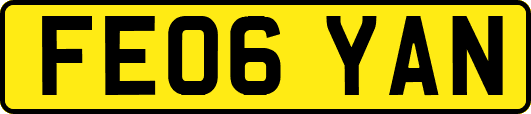 FE06YAN