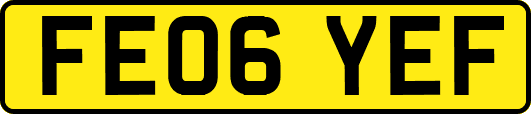 FE06YEF