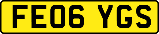 FE06YGS