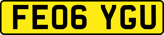 FE06YGU