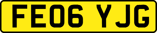 FE06YJG