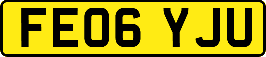 FE06YJU