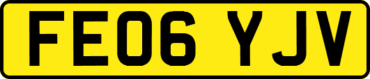 FE06YJV