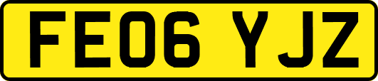 FE06YJZ