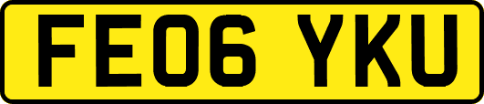 FE06YKU