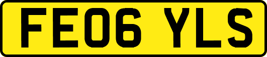 FE06YLS