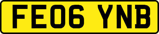 FE06YNB