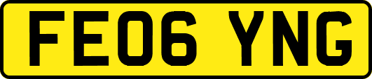 FE06YNG