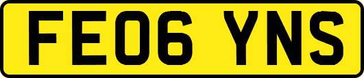FE06YNS