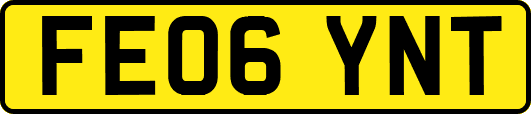 FE06YNT