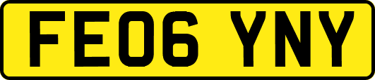 FE06YNY