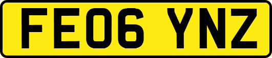 FE06YNZ