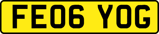 FE06YOG