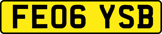 FE06YSB