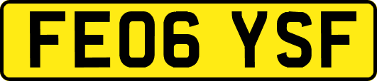FE06YSF