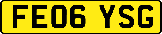 FE06YSG