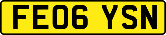 FE06YSN