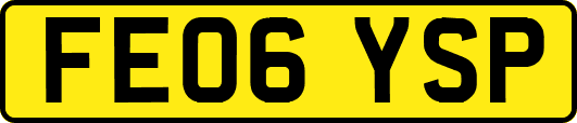 FE06YSP