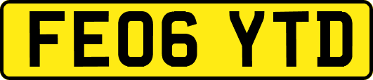 FE06YTD
