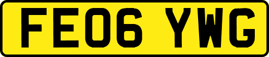 FE06YWG