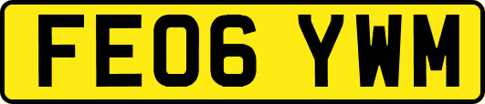 FE06YWM