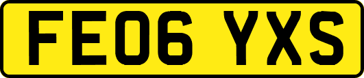 FE06YXS