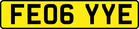 FE06YYE