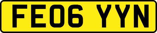 FE06YYN