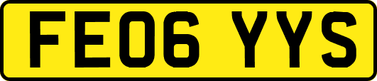 FE06YYS