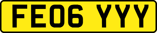 FE06YYY