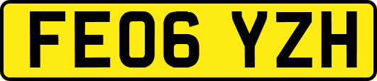 FE06YZH
